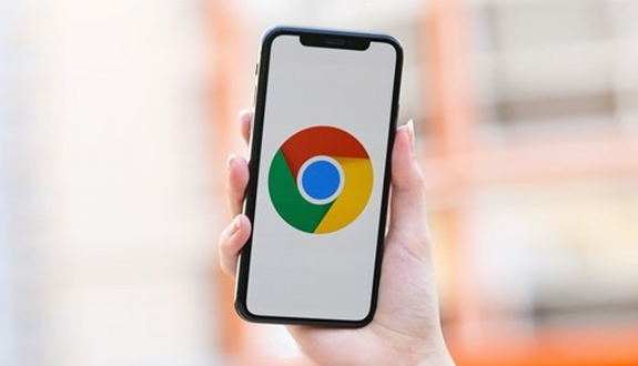 google Chrome出现证书错误如何手动验证