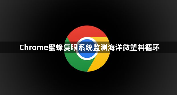 Chrome蜜蜂复眼系统监测海洋微塑料循环1