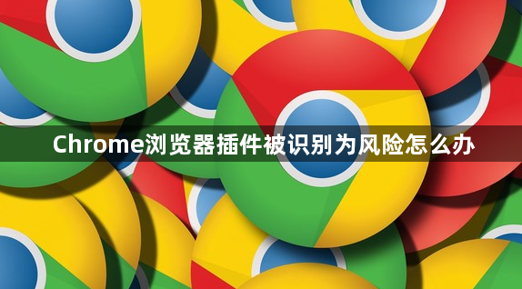 Chrome浏览器插件被识别为风险怎么办1