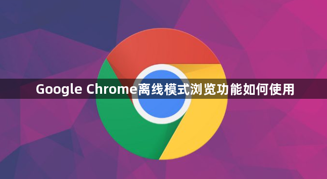 Google Chrome离线模式浏览功能如何使用1