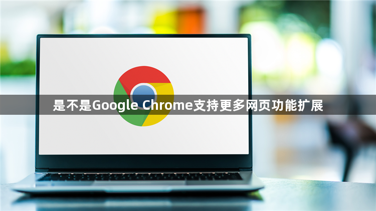 是不是Google Chrome支持更多网页功能扩展1