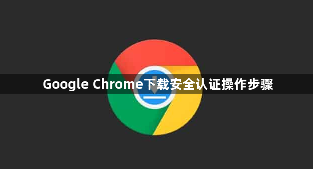 Google Chrome下载安全认证操作步骤1
