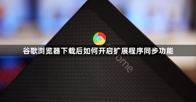 谷歌浏览器下载后如何开启扩展程序同步功能1