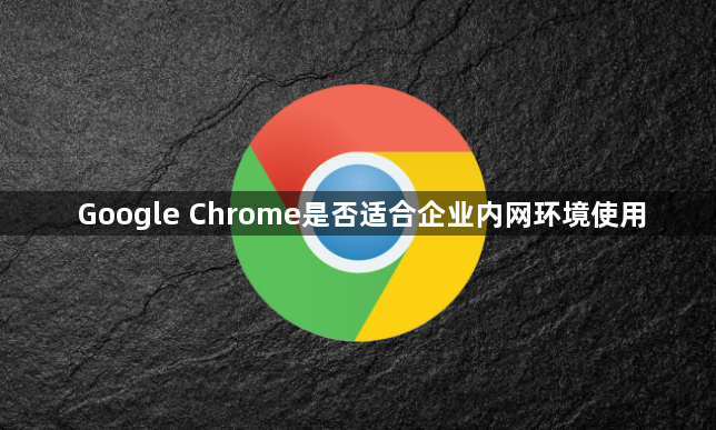 Google Chrome是否适合企业内网环境使用1
