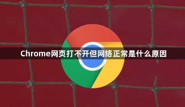 Chrome网页打不开但网络正常是什么原因1