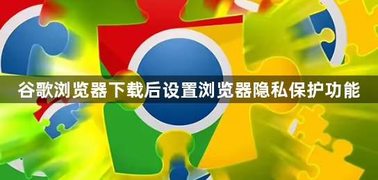 谷歌浏览器下载后设置浏览器隐私保护功能1