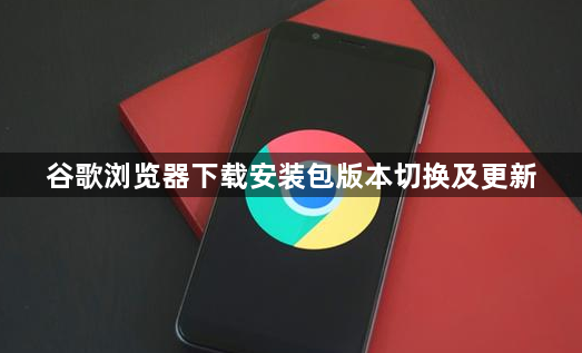 谷歌浏览器下载安装包版本切换及更新1
