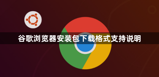 谷歌浏览器安装包下载格式支持说明1