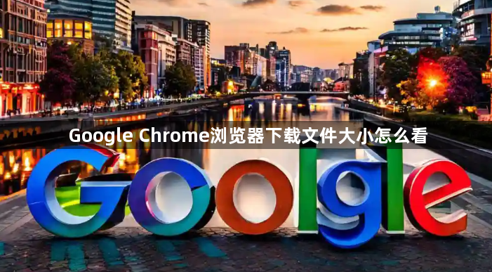 Google Chrome浏览器下载文件大小怎么看1