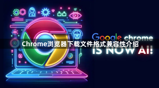 Chrome浏览器下载文件格式兼容性介绍1