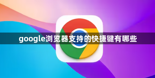 google浏览器支持的快捷键有哪些1