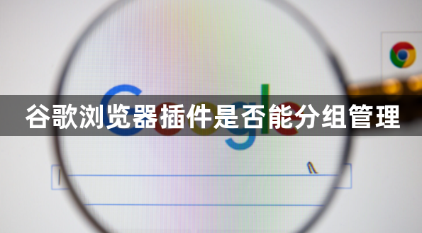 谷歌浏览器插件是否能分组管理1