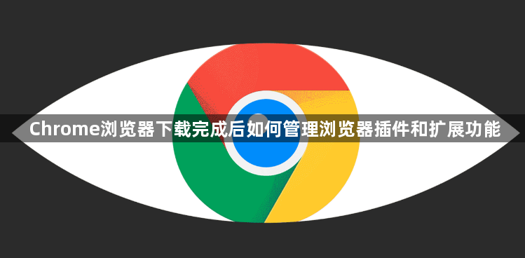 Chrome浏览器下载完成后如何管理浏览器插件和扩展功能1