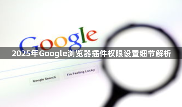 2025年Google浏览器插件权限设置细节解析1
