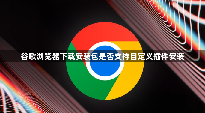 谷歌浏览器下载安装包是否支持自定义插件安装1