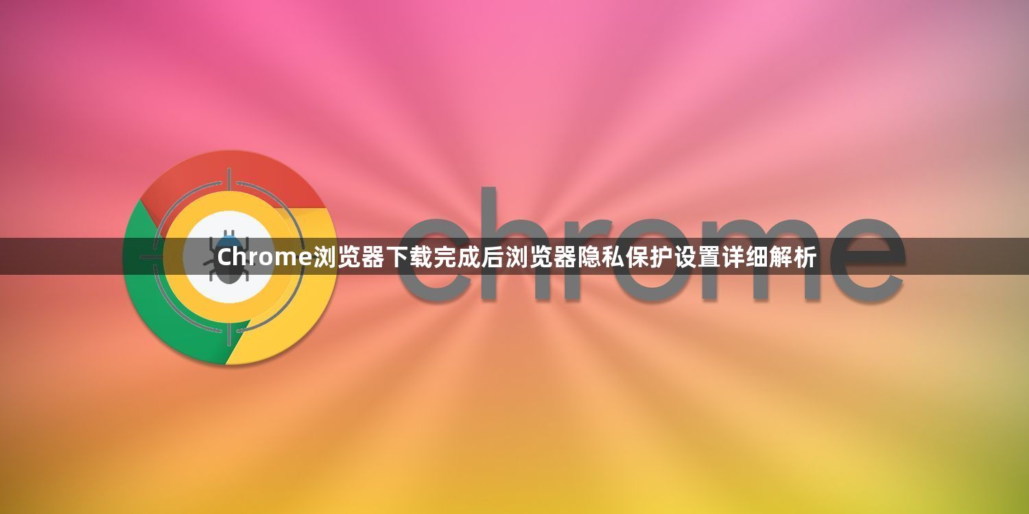 Chrome浏览器下载完成后浏览器隐私保护设置详细解析1