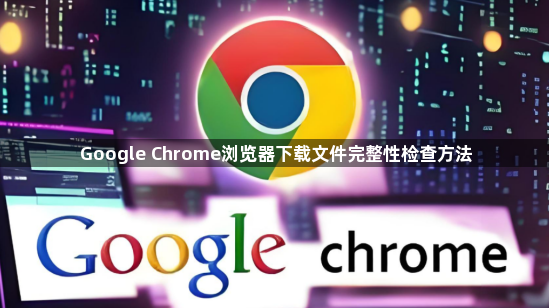 Google Chrome浏览器下载文件完整性检查方法1