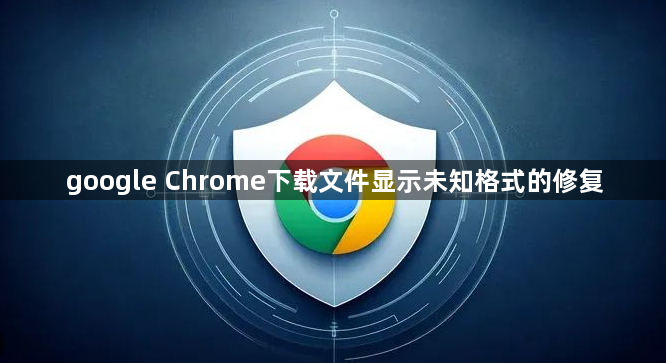 google Chrome下载文件显示未知格式的修复1