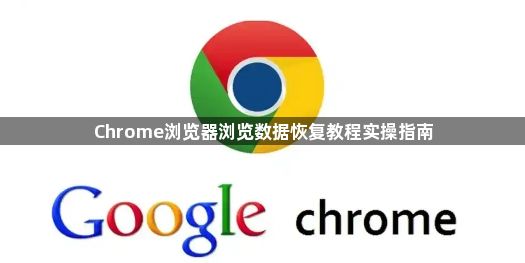 Chrome浏览器浏览数据恢复教程实操指南1