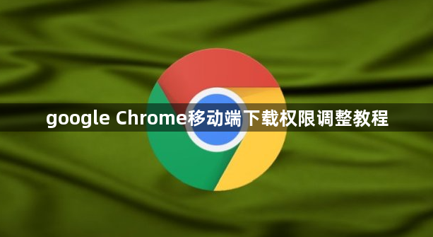 google Chrome移动端下载权限调整教程1