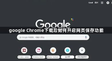 google Chrome下载后如何开启网页保存功能1