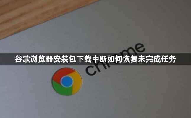 谷歌浏览器安装包下载中断如何恢复未完成任务1