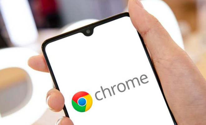 Google Chrome浏览器下载完成后书签管理与扩展插件使用