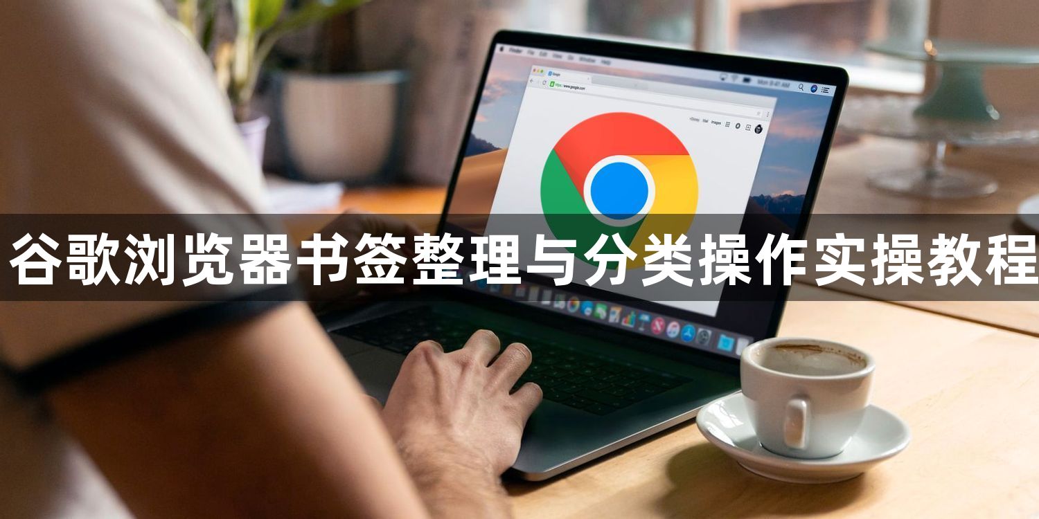 谷歌浏览器书签整理与分类操作实操教程1