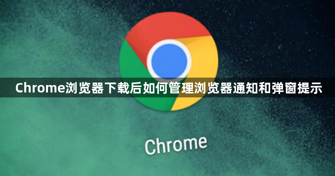 Chrome浏览器下载后如何管理浏览器通知和弹窗提示1