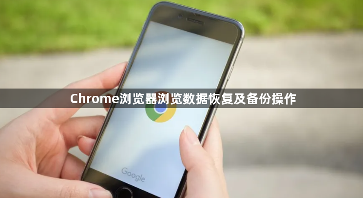 Chrome浏览器浏览数据恢复及备份操作1