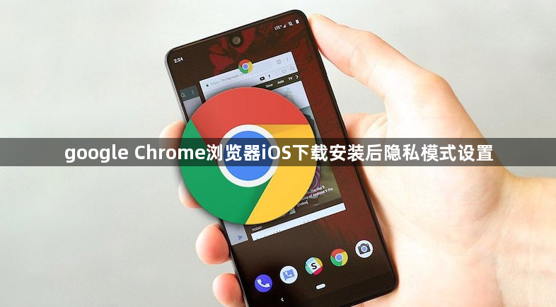 google Chrome浏览器iOS下载安装后隐私模式设置1