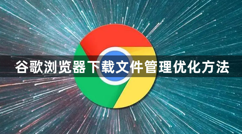 谷歌浏览器下载文件管理优化方法1