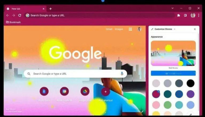 Chrome浏览器官方包Windows轻量版操作技巧解析