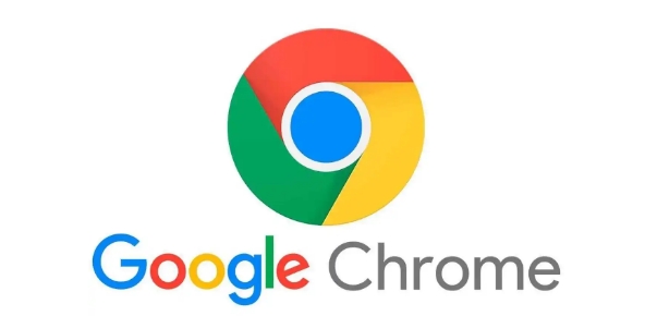 Chrome浏览器离线版安装问题解决及操作流程