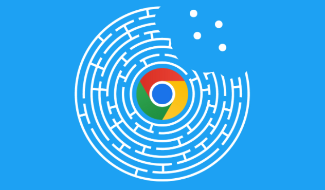 google Chrome浏览器隐私保护策略技巧