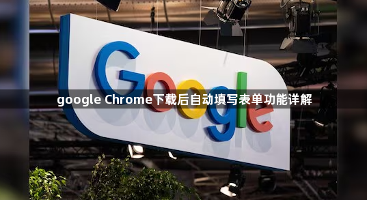 google Chrome下载后自动填写表单功能详解1