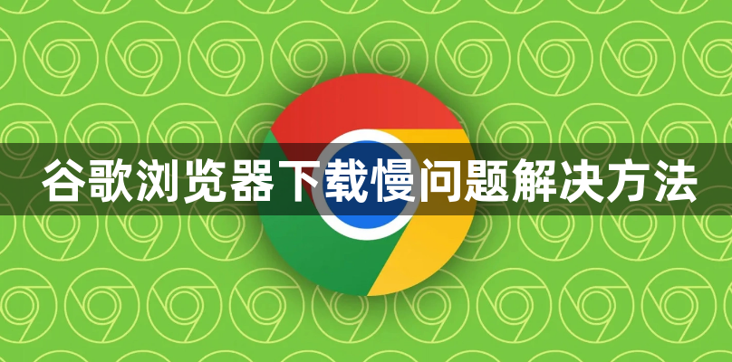 谷歌浏览器下载慢问题解决方法1