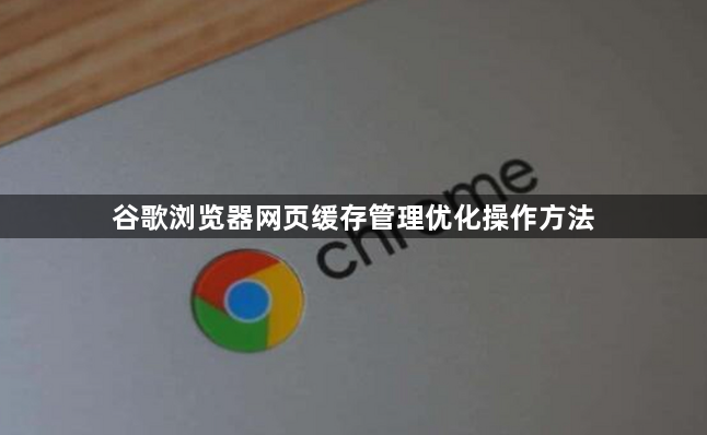 谷歌浏览器网页缓存管理优化操作方法1